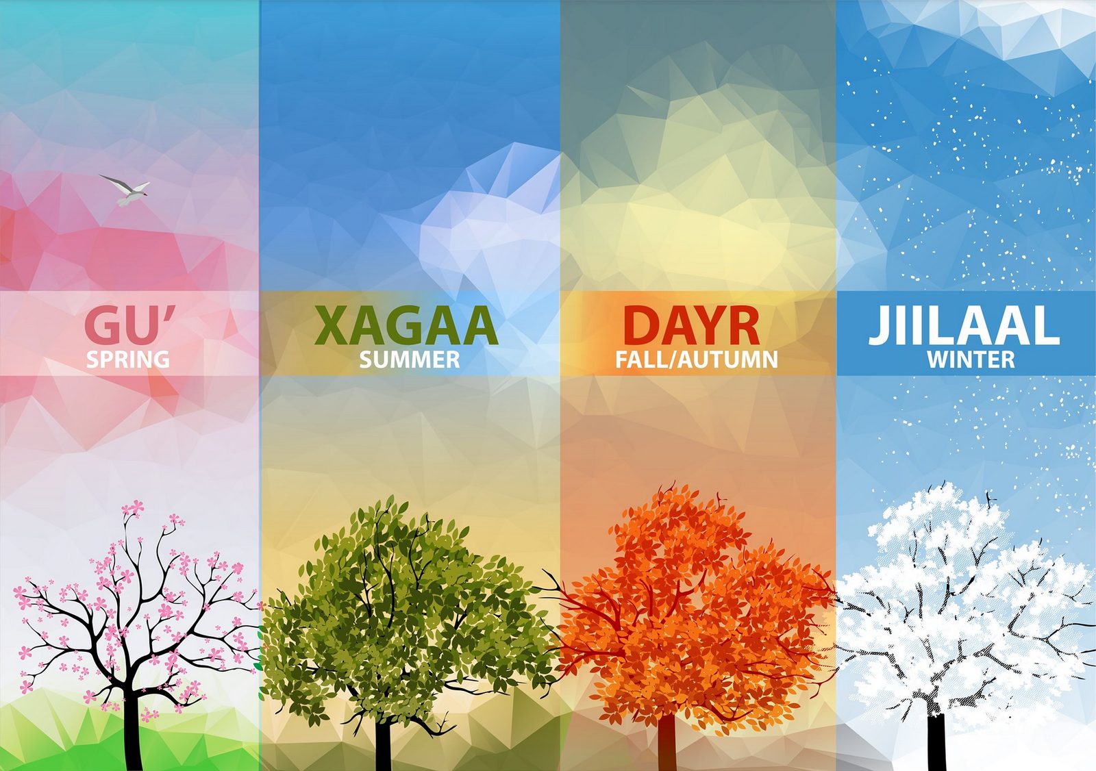 The four Somali seasons: Gu' (spring), Xagaa (summer), Dayr (autumn) and Jiilaal (winter), shown as a single tree changing through the year